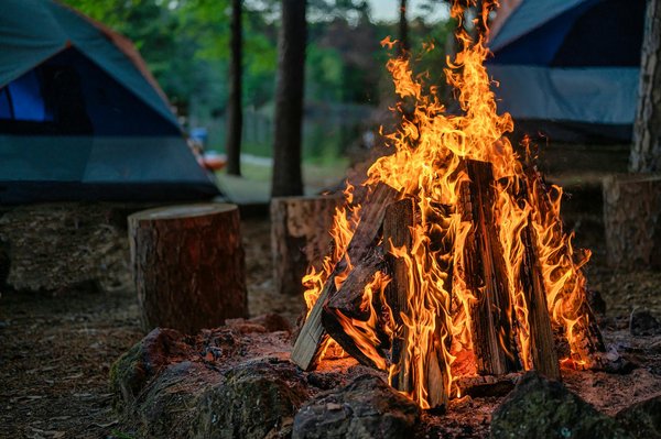Quels sont les équipements nécessaires pour un camping en région humide avec observation de la faune?